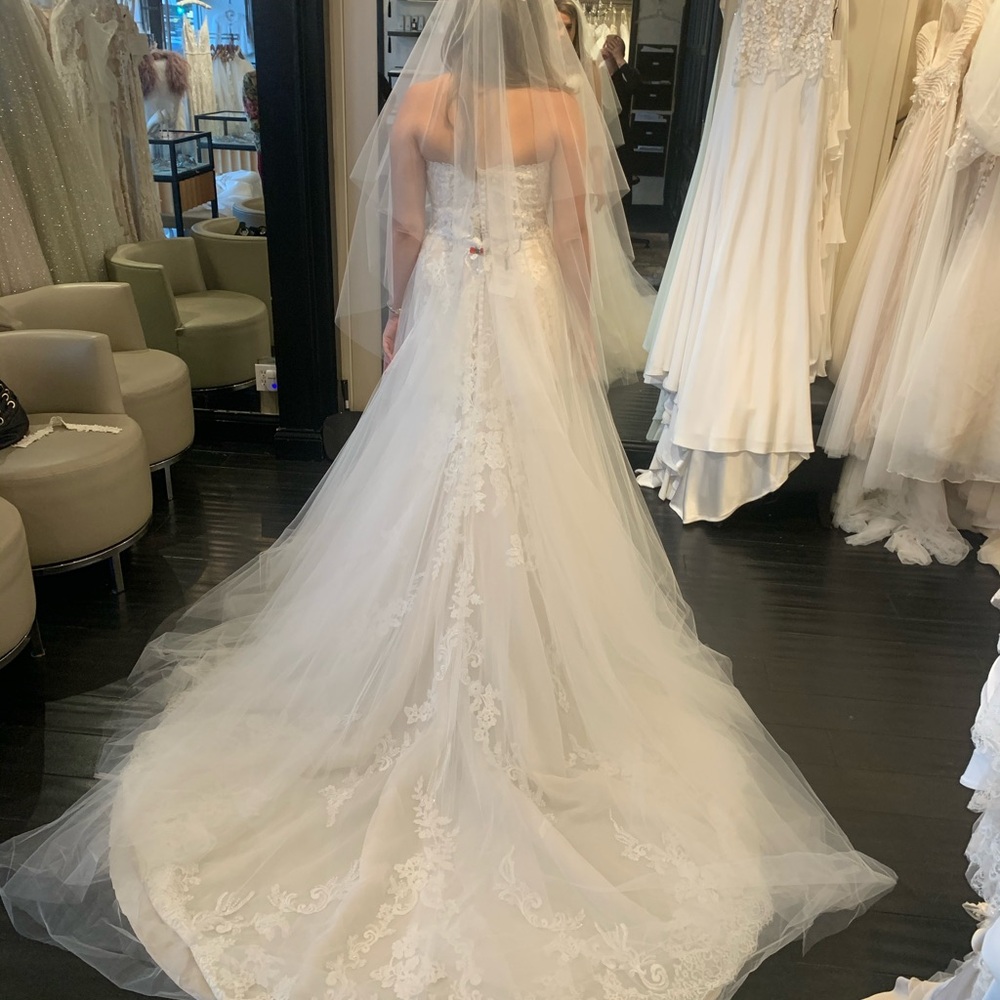 Pronovias Wedding Dress with Veil and Tulle shirt cover. New-tags attached. - Picture 14 of 15